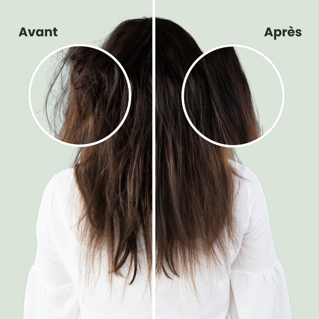 Shampooing AZAELY pour cheveux abimés, secs,ternes et cassants